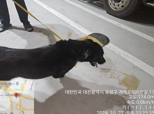 대전동물보호센터_430367202400791